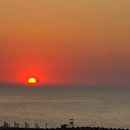 Eliz Luxury * 马马亚